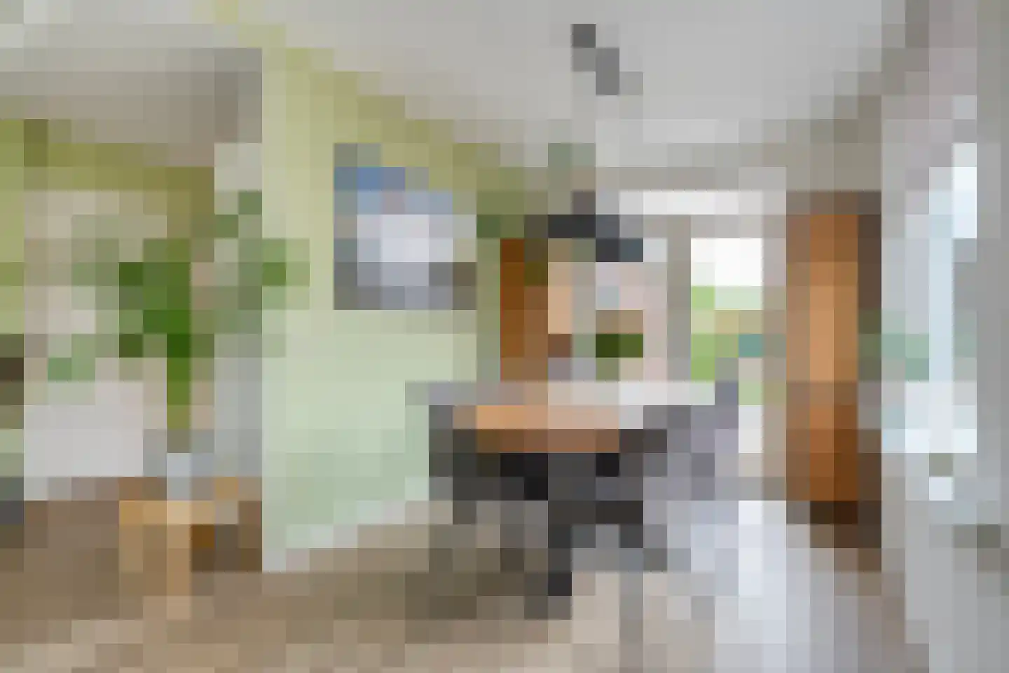 Burg. Haitsmalaan 22 Nijeveen thumbnail 8