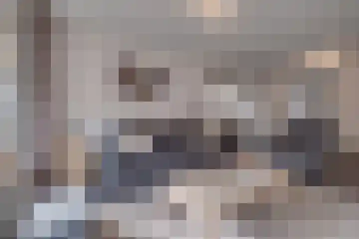 Burg. Hausmansstraat 9 Buchten thumbnail 12