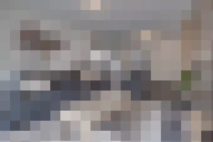 Burg. Hausmansstraat 9 Buchten thumbnail 13