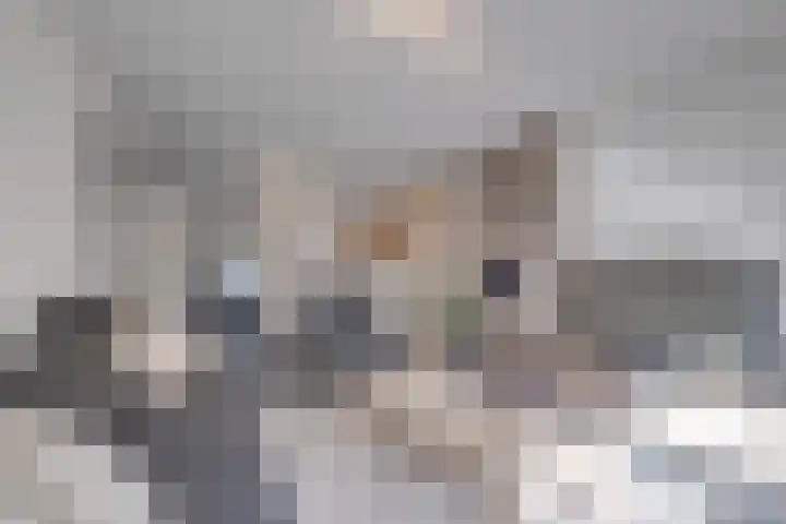 Burg. Hausmansstraat 9 Buchten thumbnail 15