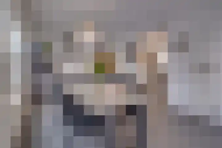 Burg. Hausmansstraat 9 Buchten thumbnail 18