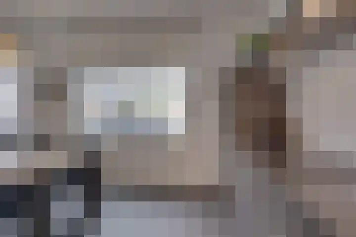 Burg. Hausmansstraat 9 Buchten thumbnail 21