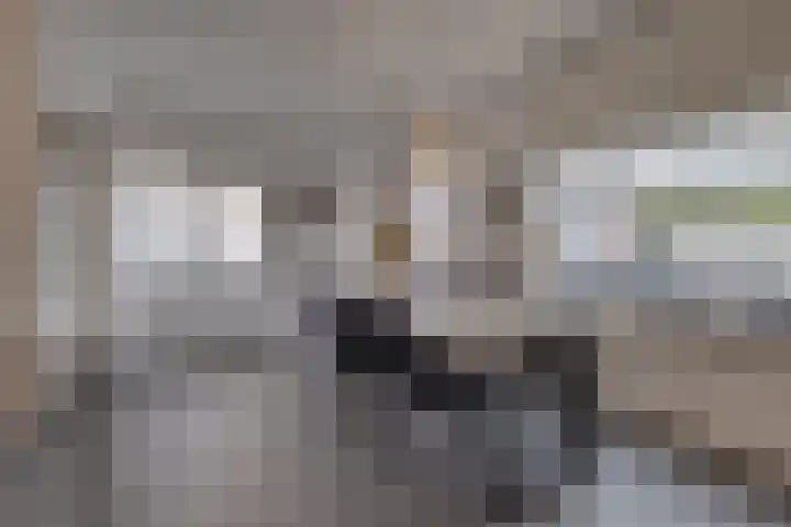 Burg. Hausmansstraat 9 Buchten thumbnail 22