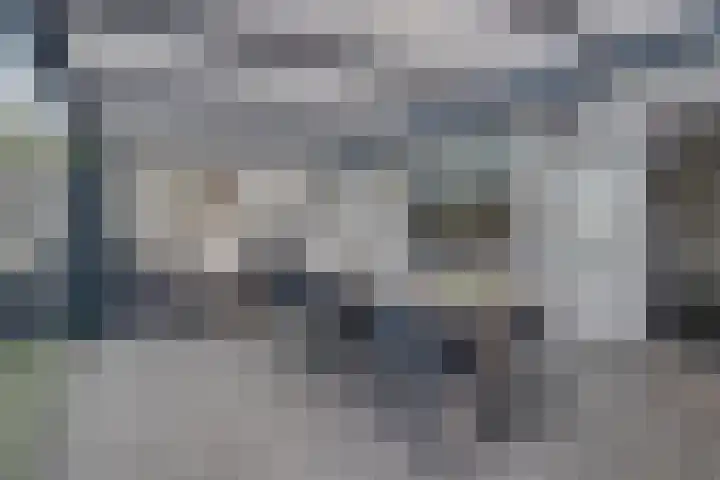 Burg. Hausmansstraat 9 Buchten thumbnail 24