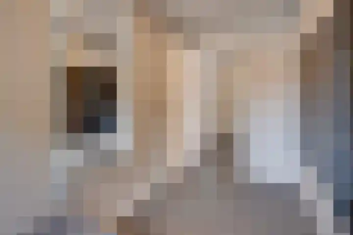 Burg. Hausmansstraat 9 Buchten thumbnail 31