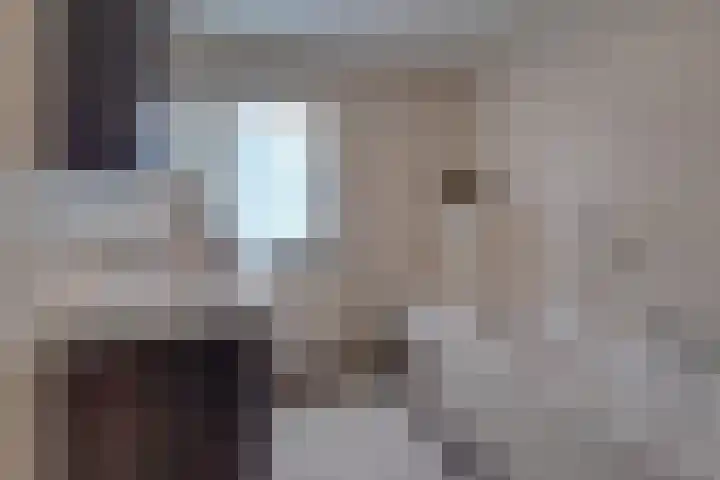 Burg. Hausmansstraat 9 Buchten thumbnail 4