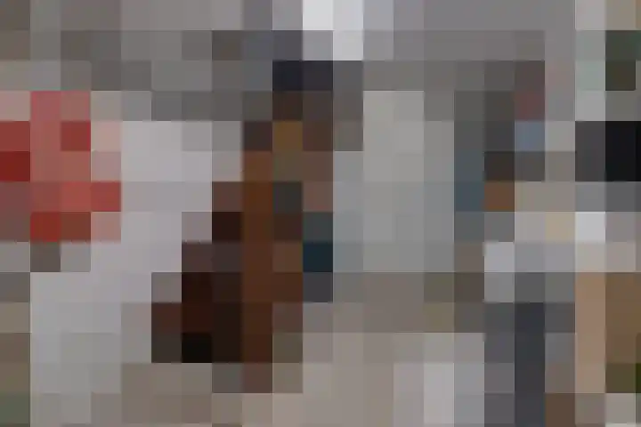 Burg. Hausmansstraat 9 Buchten thumbnail 41