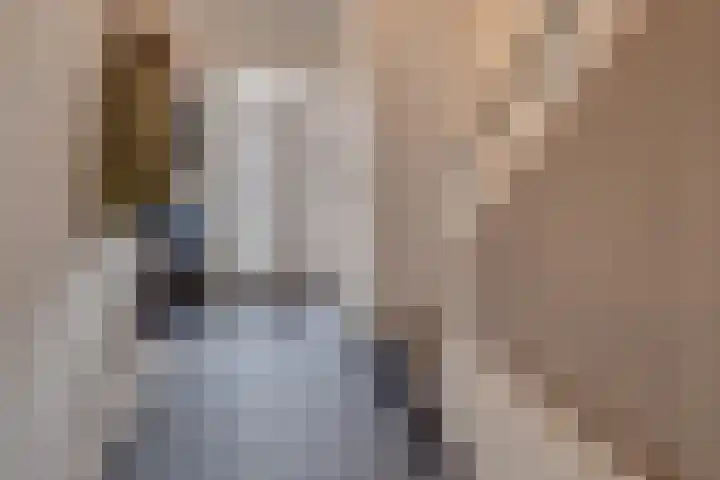 Burg. Hausmansstraat 9 Buchten thumbnail 6