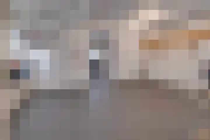 Burg. Hausmansstraat 9 Buchten thumbnail 8
