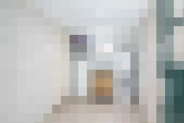 Burg Haverkampstraat 15 Dinxperlo thumbnail 18