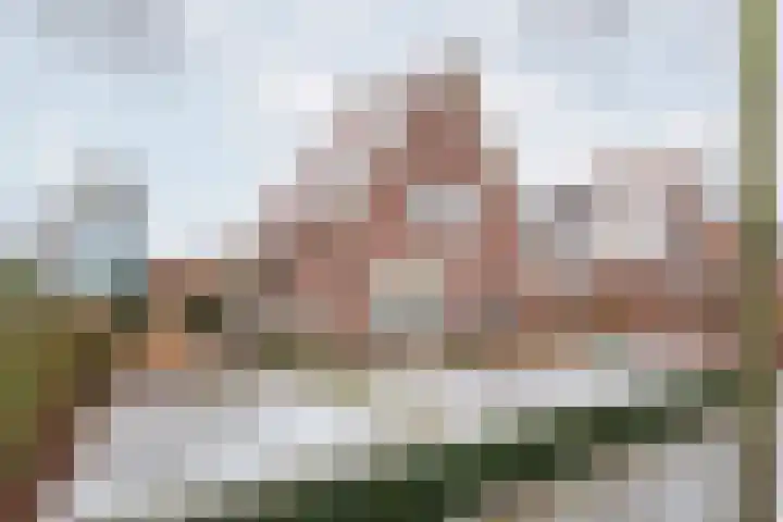 Burg Haverkampstraat 15 Dinxperlo thumbnail 42