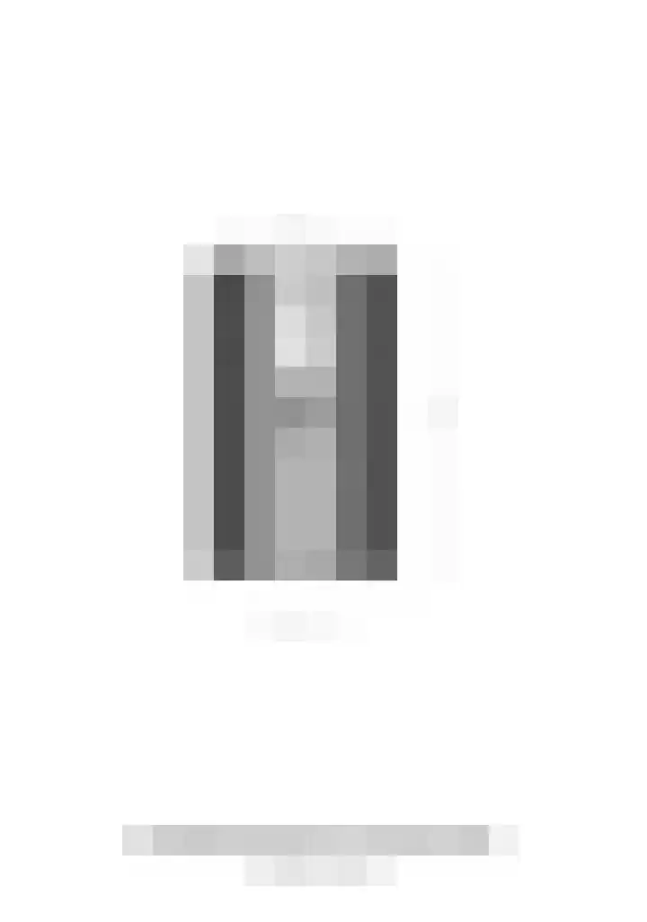 Burg Haverkampstraat 15 Dinxperlo thumbnail 48