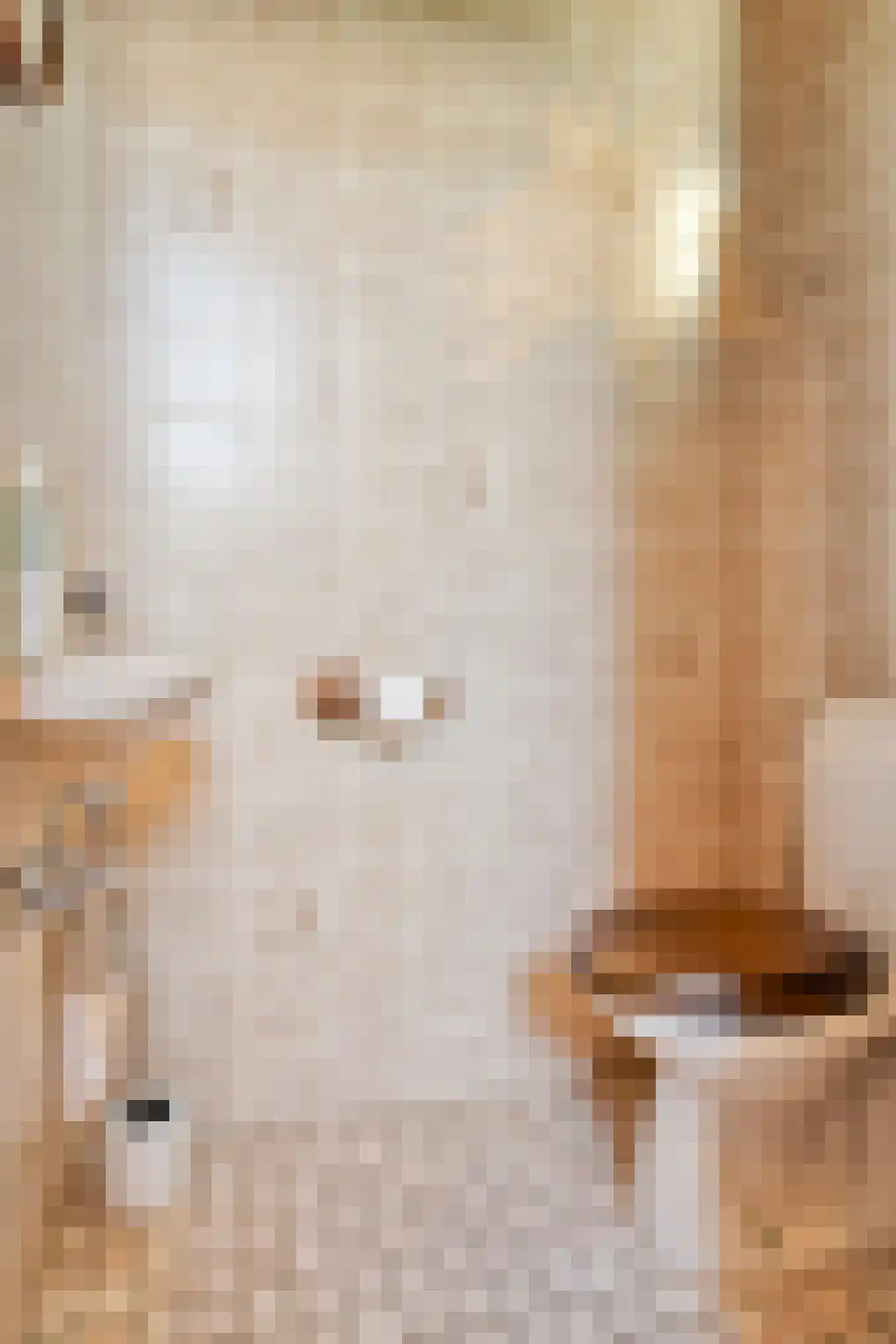 Burg. Heijnenstraat 6 Sittard thumbnail 11