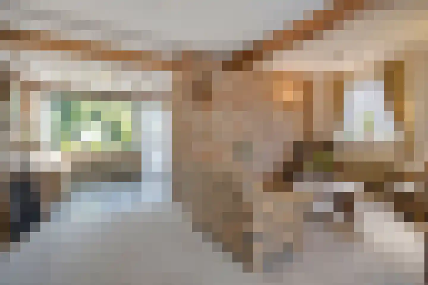 Burg. Heijnenstraat 6 Sittard thumbnail 15