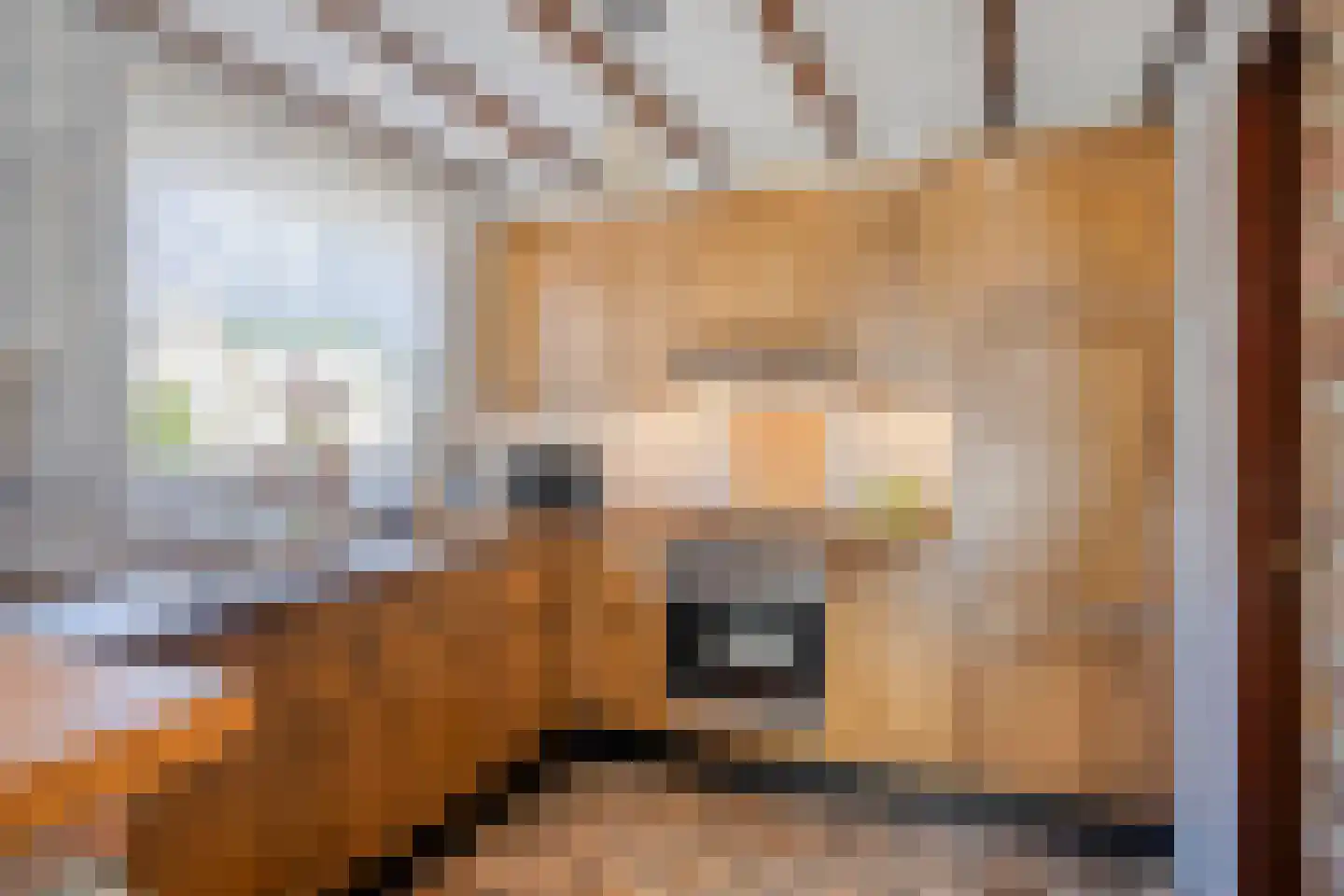 Burg. Heijnenstraat 6 Sittard thumbnail 19