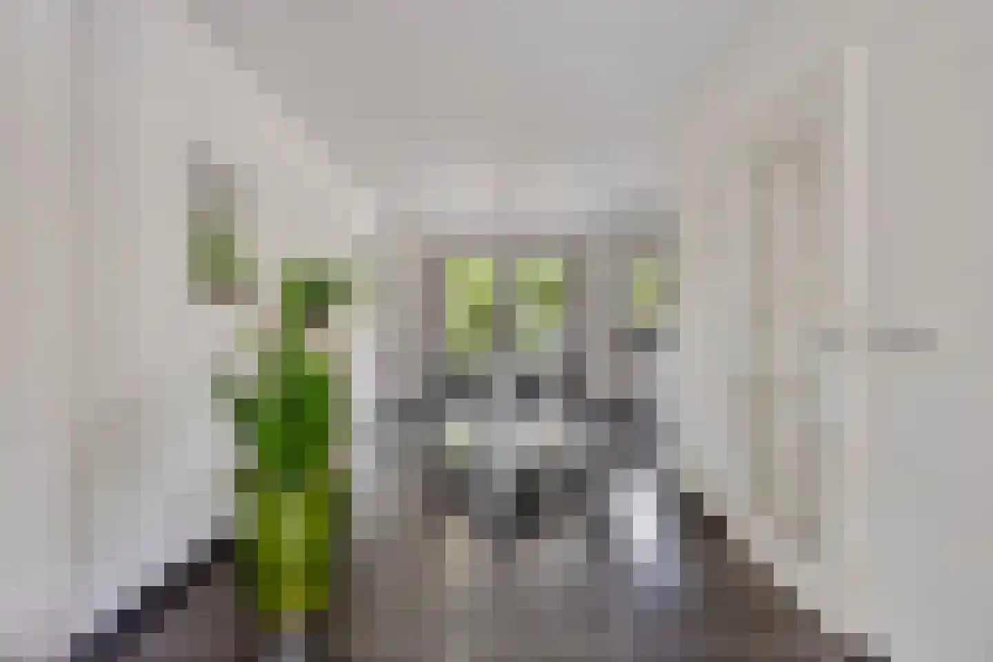 Burg. Heijsingel 54 Scherpenzeel thumbnail 11
