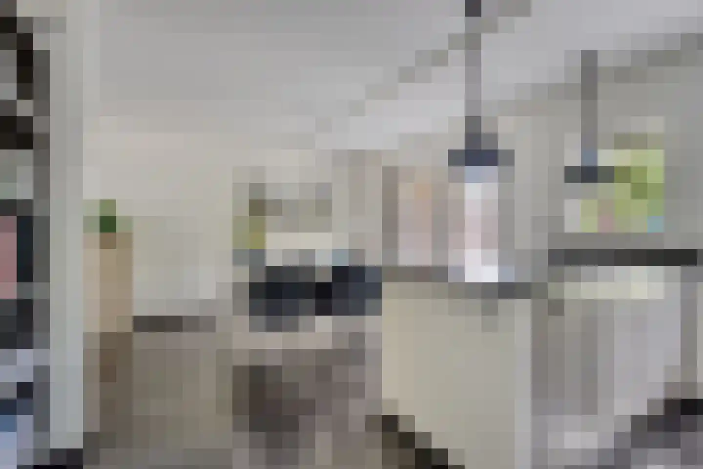 Burg. Heijsingel 54 Scherpenzeel thumbnail 14