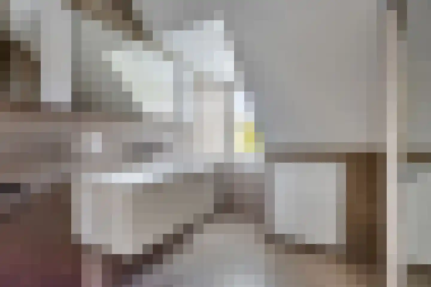Burg. Heijsingel 54 Scherpenzeel thumbnail 17