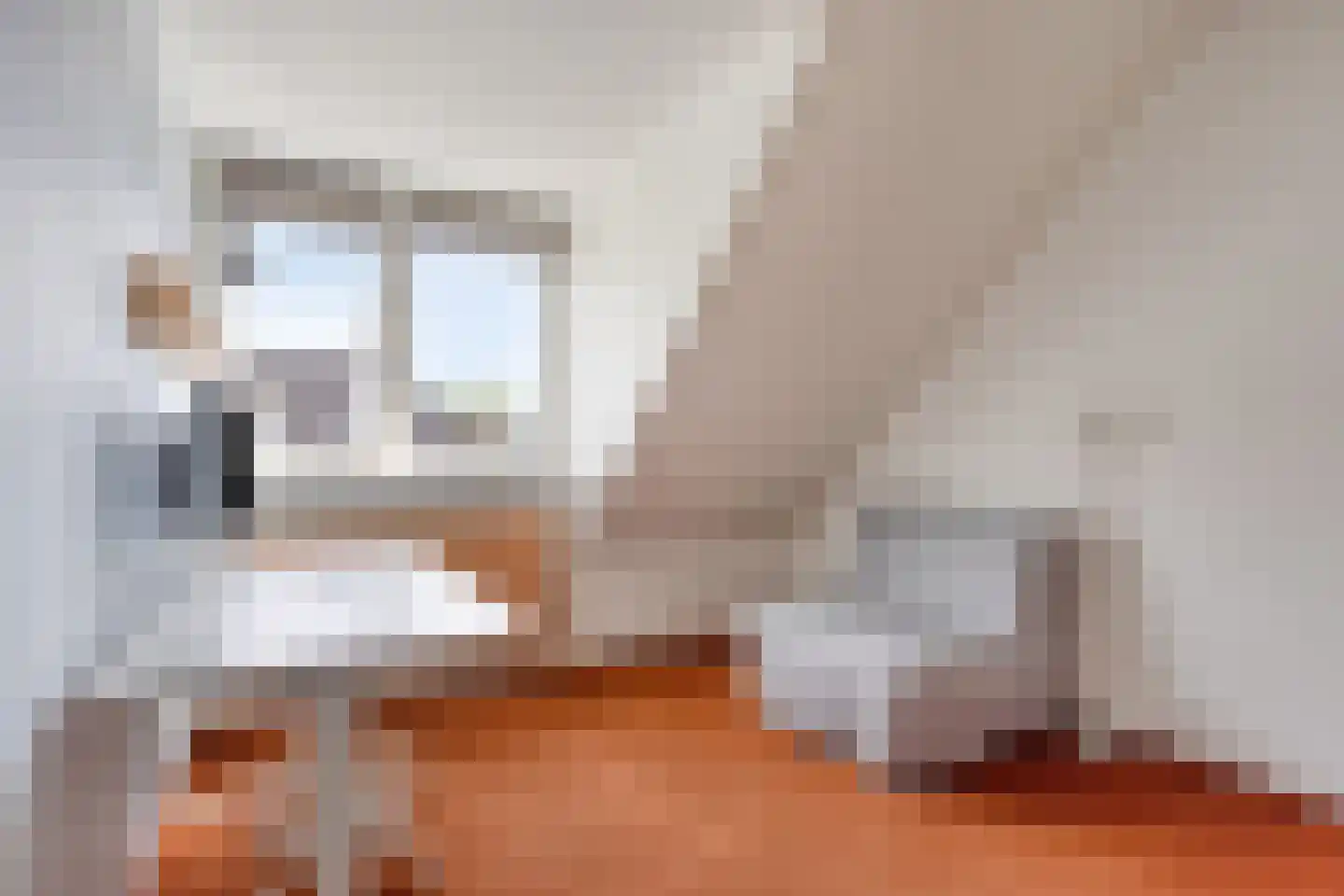Burg. Heijsingel 54 Scherpenzeel thumbnail 23
