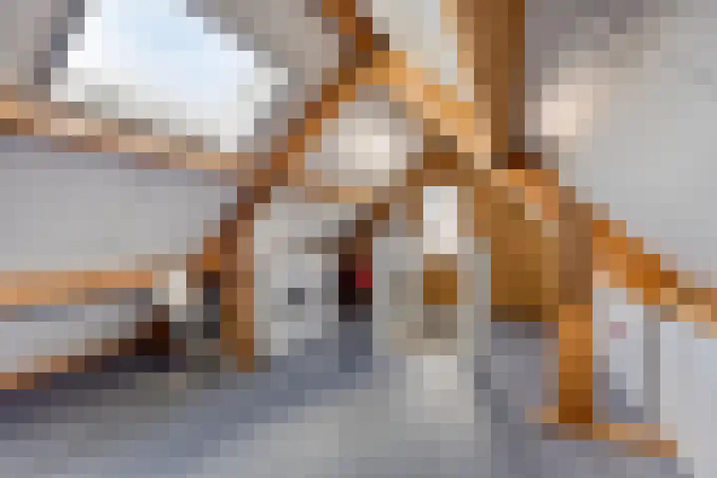 Burg. Heijsingel 54 Scherpenzeel thumbnail 25