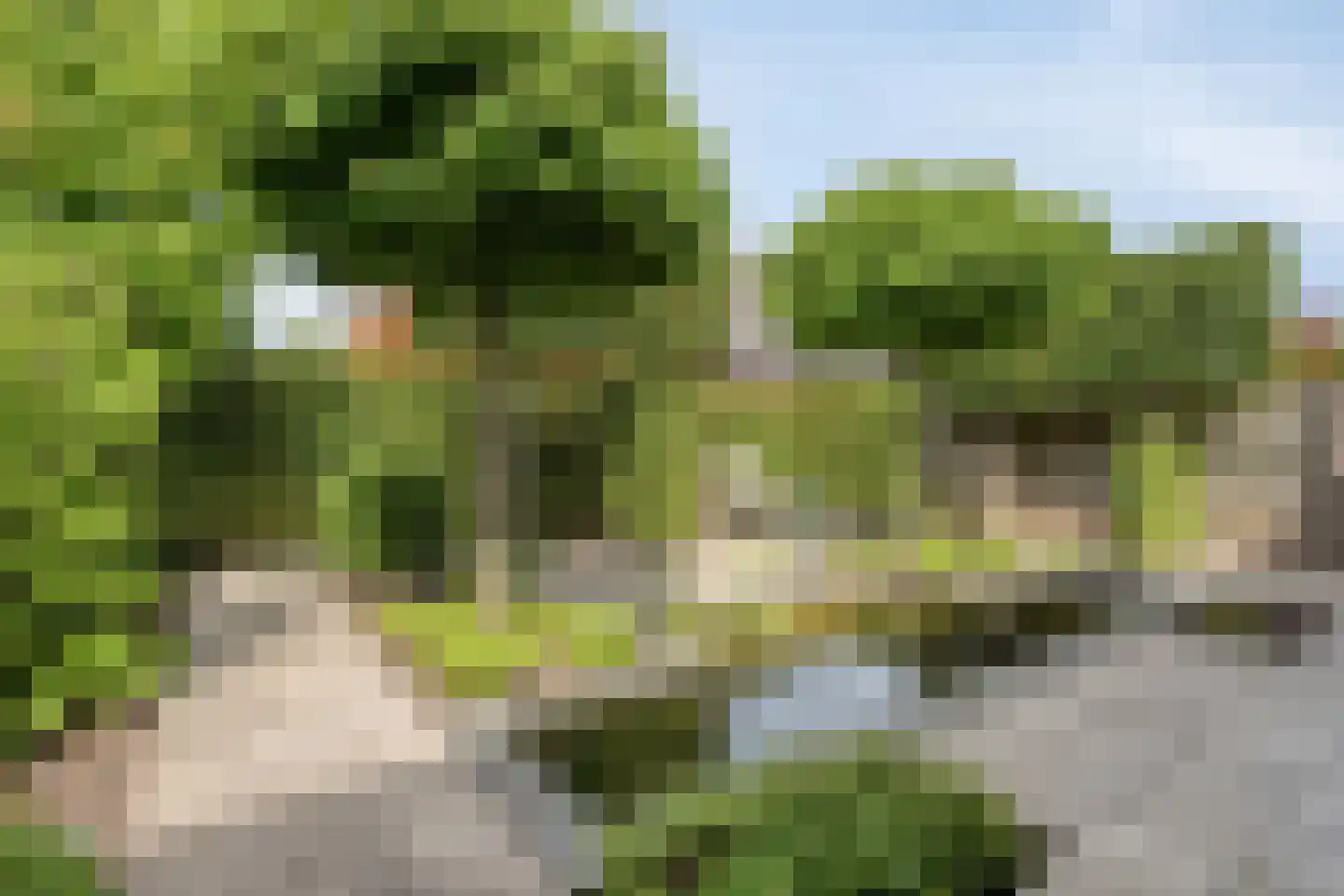 Burg. Heijsingel 54 Scherpenzeel thumbnail 28