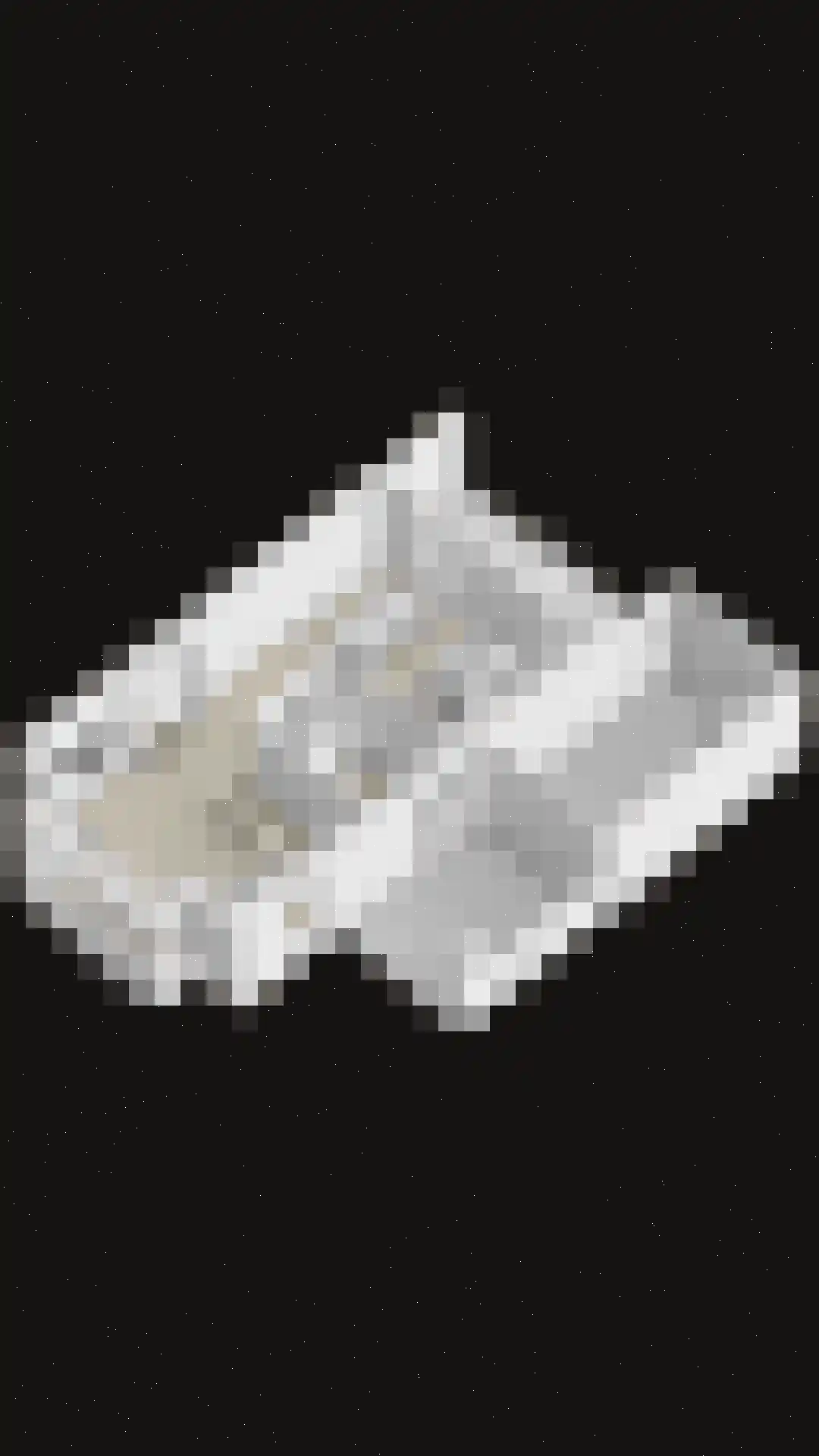Burg. Heijsingel 54 Scherpenzeel thumbnail 47