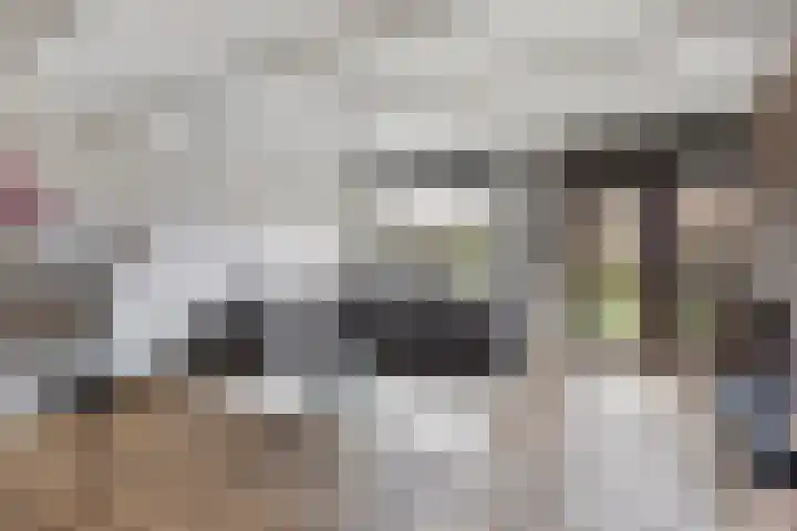 Burg Henrylaan 33 Numansdorp thumbnail 10
