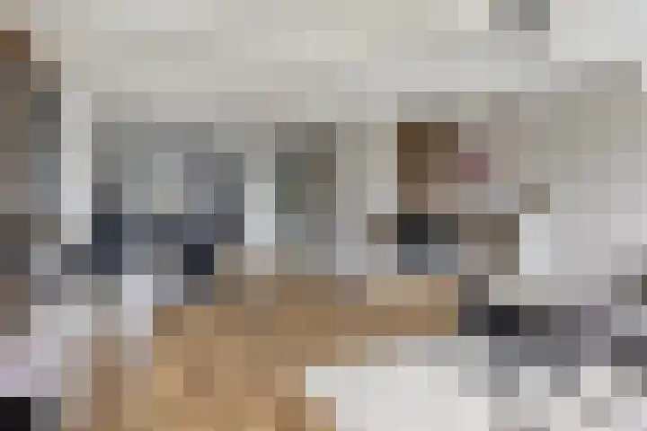 Burg Henrylaan 33 Numansdorp thumbnail 11