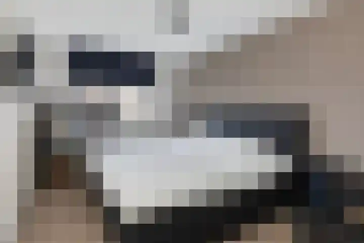 Burg Henrylaan 33 Numansdorp thumbnail 24