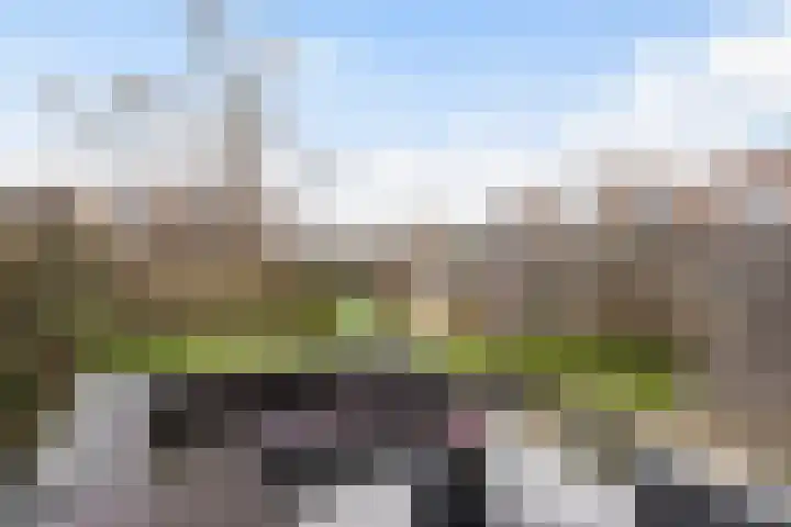 Burg Henrylaan 33 Numansdorp thumbnail 33