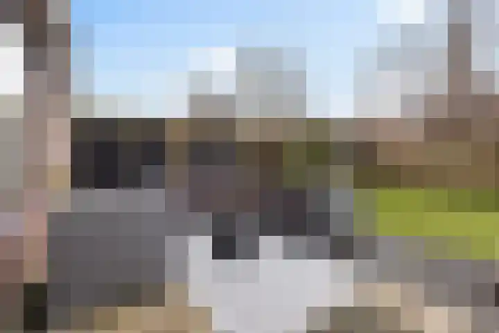 Burg Henrylaan 33 Numansdorp thumbnail 34