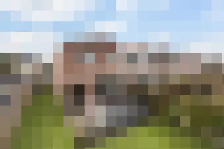 Burg Henrylaan 33 Numansdorp thumbnail 35