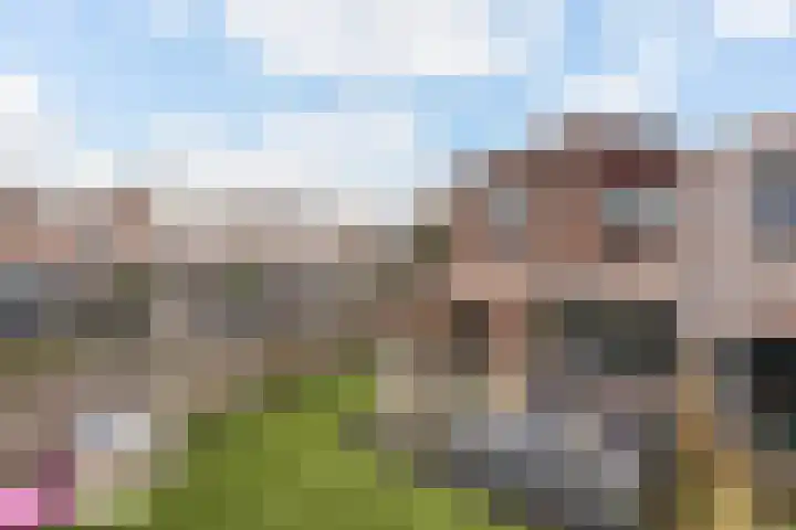 Burg Henrylaan 33 Numansdorp thumbnail 36