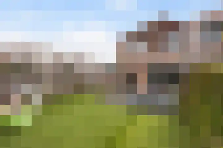 Burg Henrylaan 33 Numansdorp thumbnail 39
