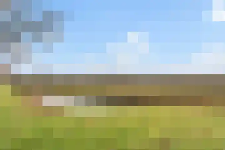 Burg Henrylaan 33 Numansdorp thumbnail 41
