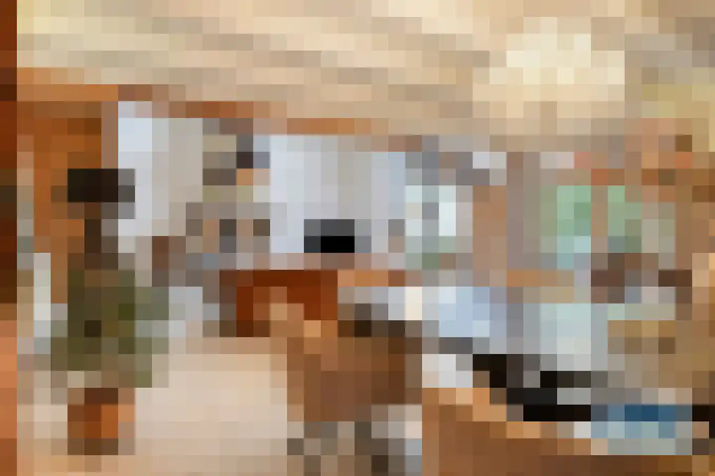 Burg Henrylaan 3650 Dilsen Numansdorp thumbnail 11