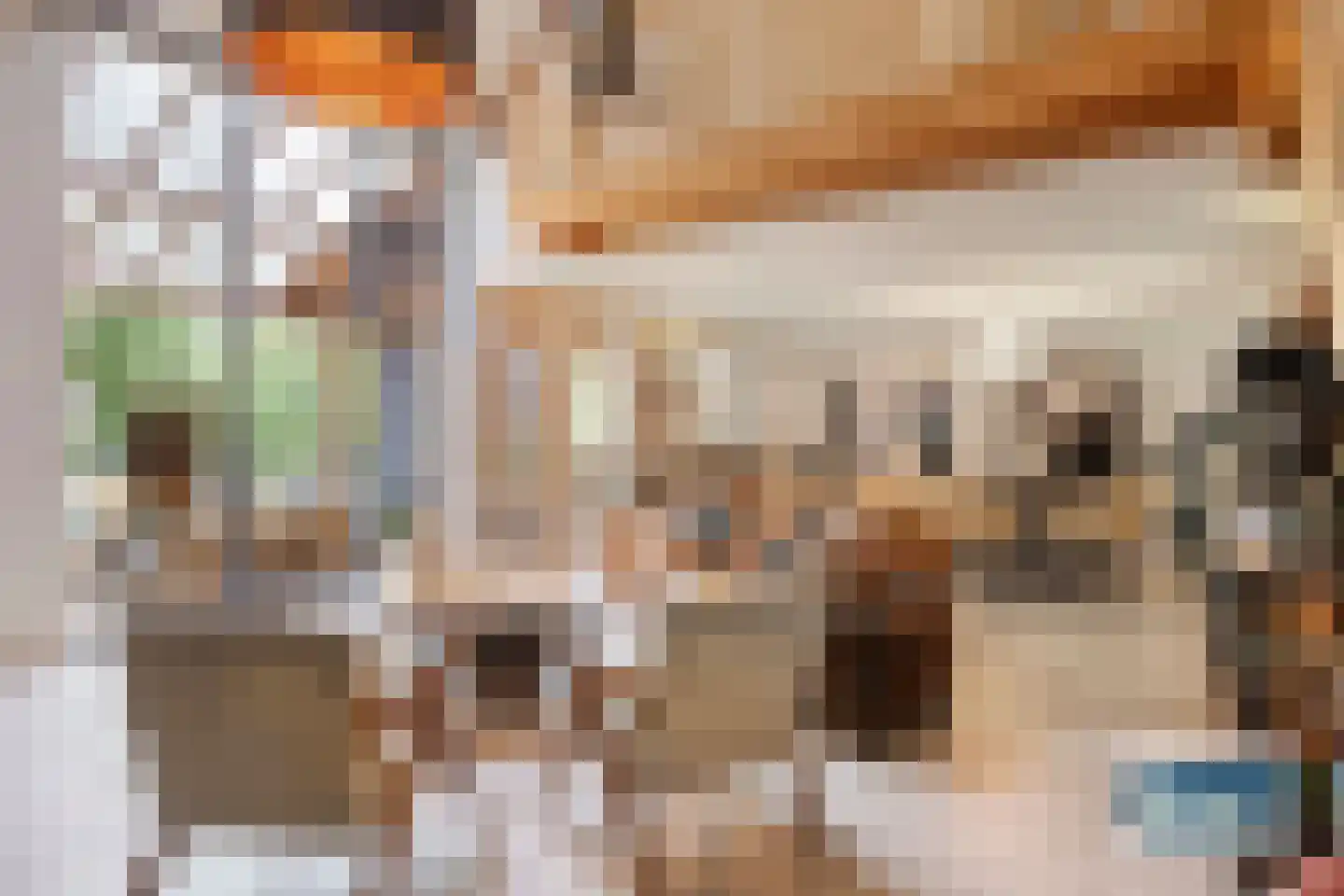 Burg Henrylaan 3650 Dilsen Numansdorp thumbnail 12