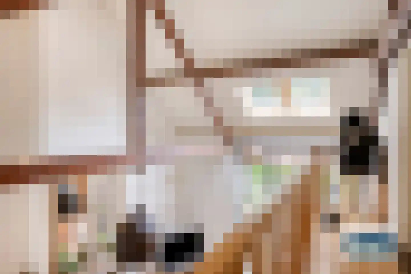 Burg Henrylaan 3650 Dilsen Numansdorp thumbnail 14