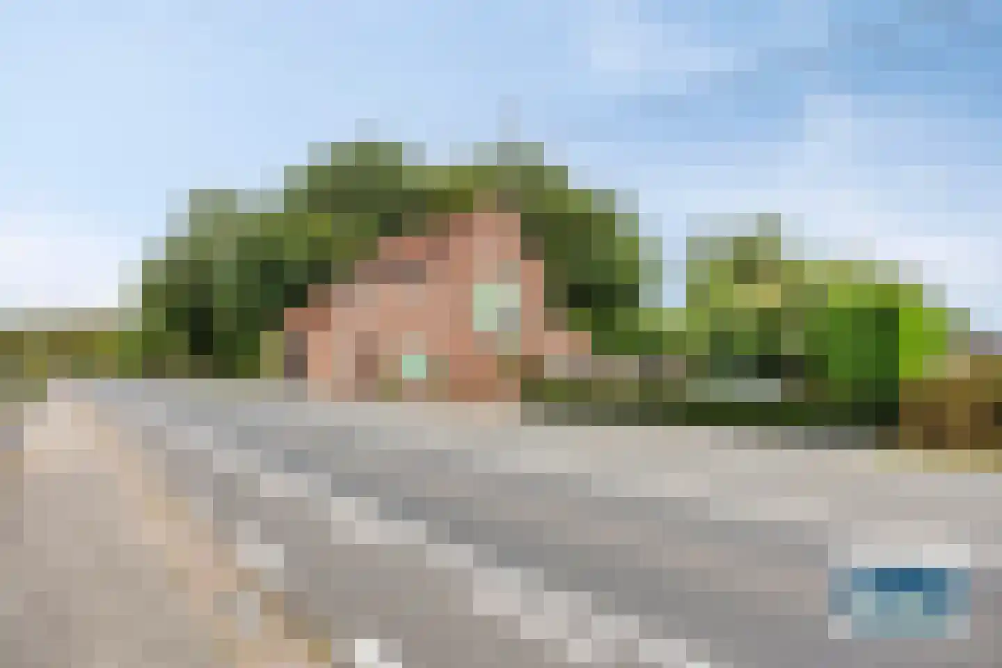 Burg Henrylaan 3650 Dilsen Numansdorp thumbnail 4