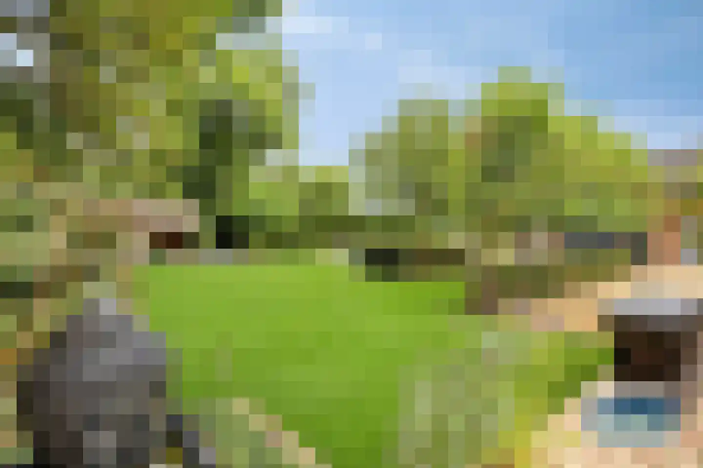 Burg Henrylaan 3650 Dilsen Numansdorp thumbnail 44