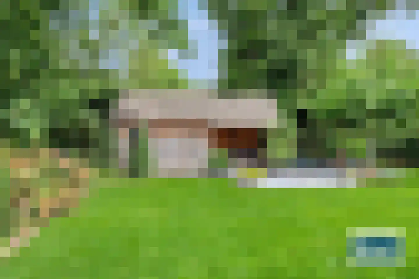 Burg Henrylaan 3650 Dilsen Numansdorp thumbnail 52