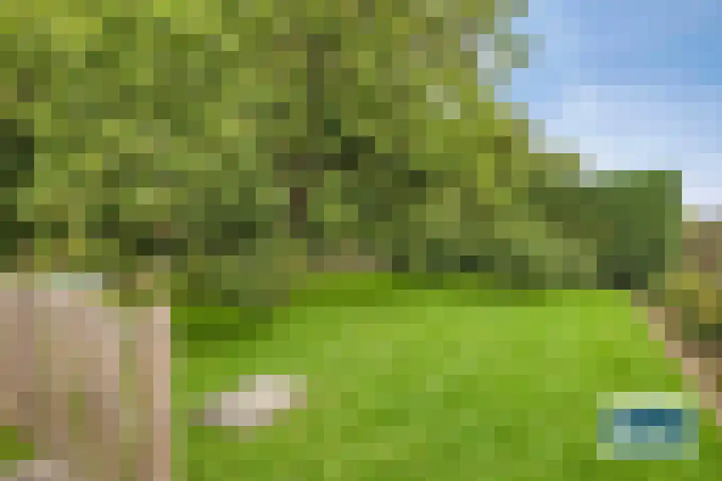 Burg Henrylaan 3650 Dilsen Numansdorp thumbnail 55