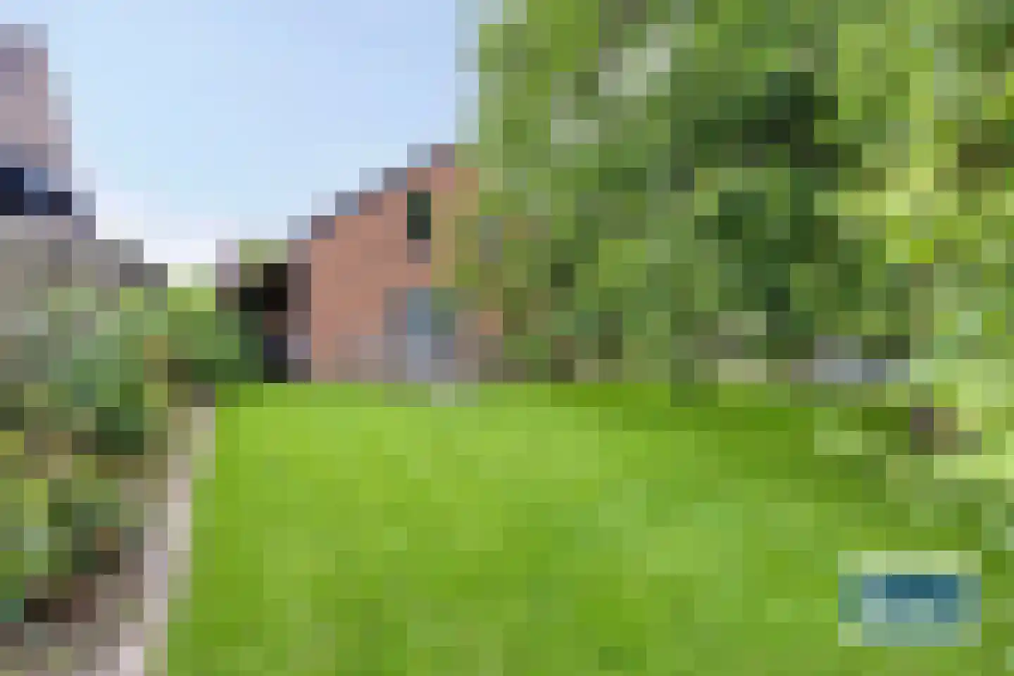 Burg Henrylaan 3650 Dilsen Numansdorp thumbnail 56