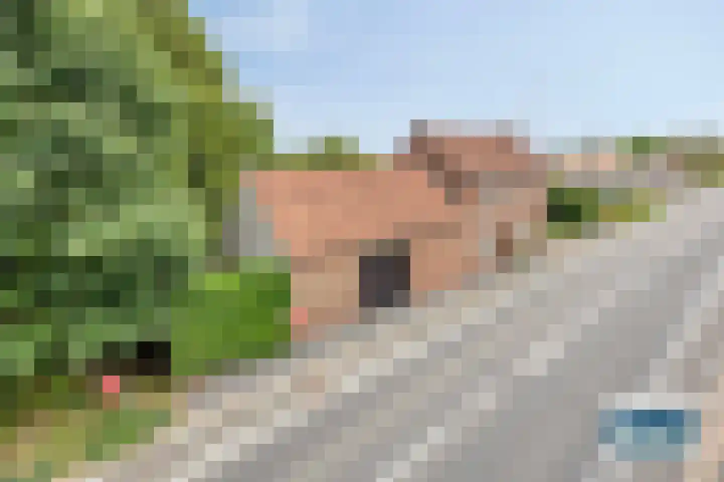 Burg Henrylaan 3650 Dilsen Numansdorp thumbnail 61