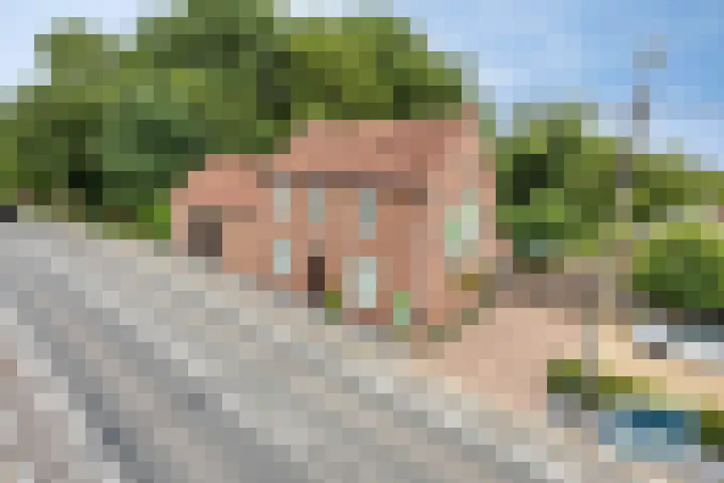 Burg Henrylaan 3650 Dilsen Numansdorp thumbnail 7