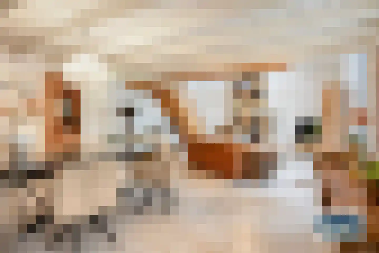 Burg Henrylaan 3650 Dilsen Numansdorp thumbnail 9