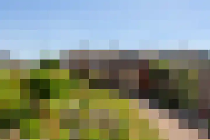 Burg Henrylaan 70 Numansdorp thumbnail 20
