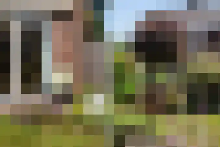 Burg Henrylaan 70 Numansdorp thumbnail 21