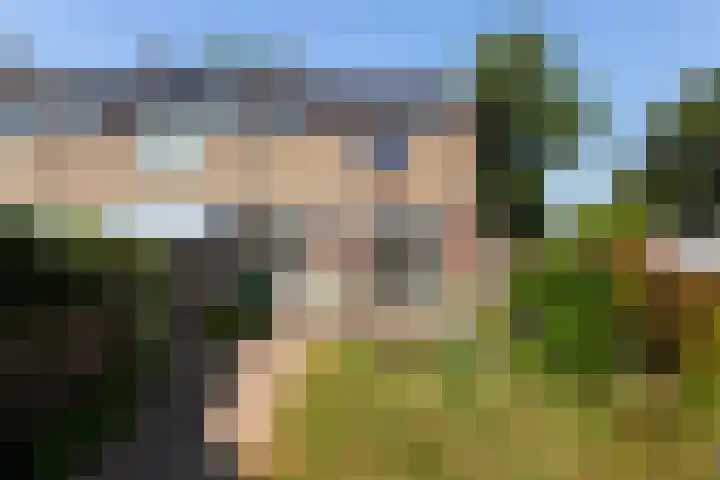 Burg Henrylaan 70 Numansdorp thumbnail 23