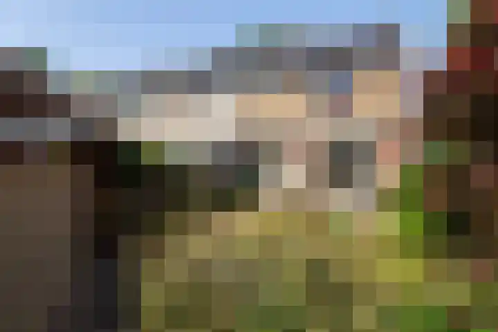 Burg Henrylaan 70 Numansdorp thumbnail 24